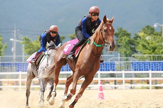 한국마사회 연봉